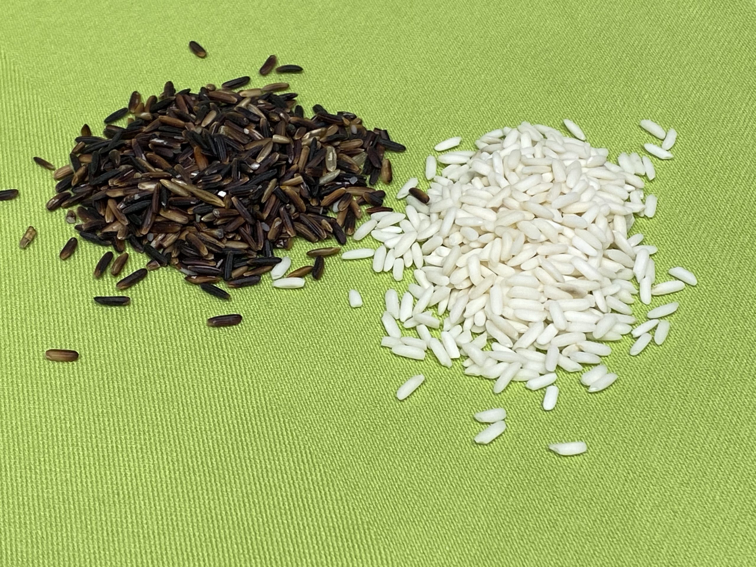 Sticky Rice – thailändischer Klebreis
